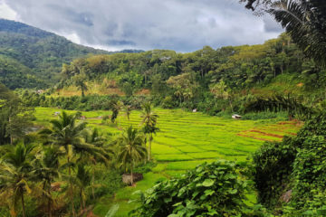 Dlaczego Flores to najpiękniejsza wyspa Indonezji (24)