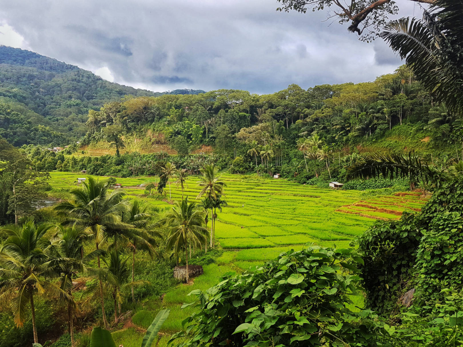 Dlaczego Flores to najpiękniejsza wyspa Indonezji (24)