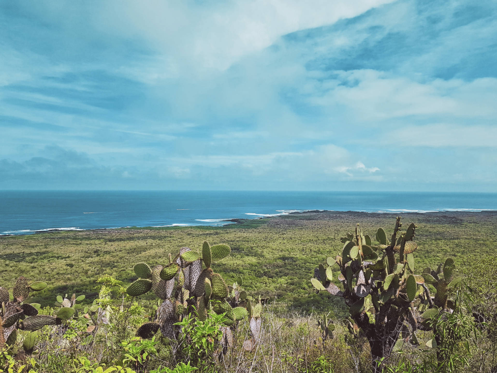 Jak tanio zwiedzić Wyspy Galapagos Darmowe atrakcje na wyspach (10)