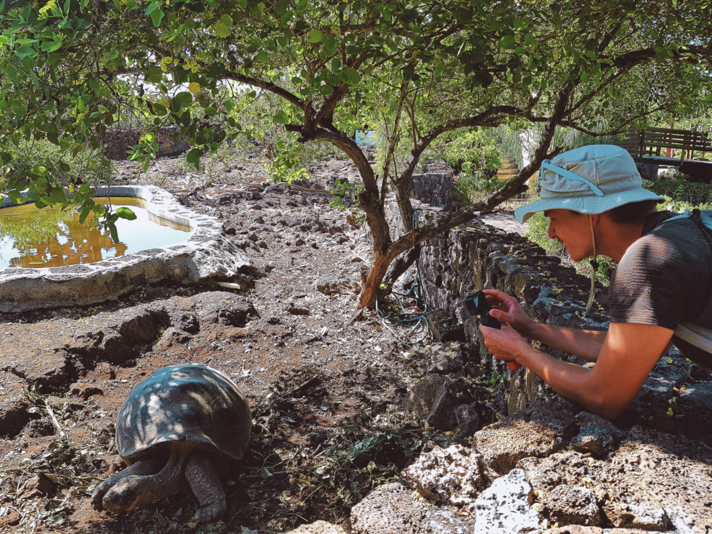Jak tanio zwiedzić Wyspy Galapagos Darmowe atrakcje na wyspach (4)