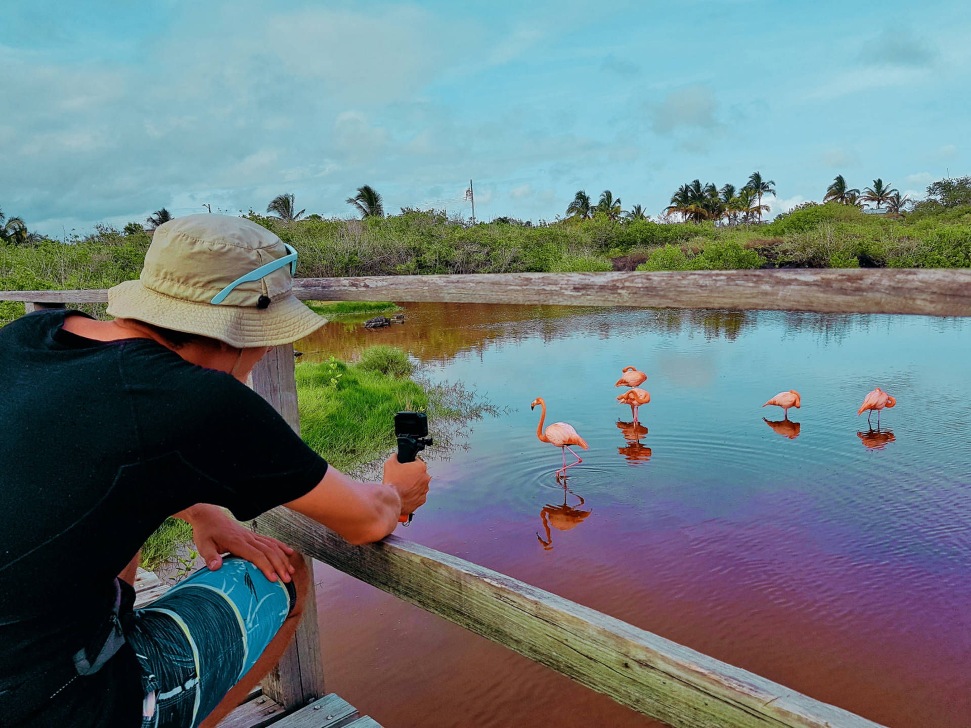Jak tanio zwiedzić Wyspy Galapagos Darmowe atrakcje na wyspach (20)